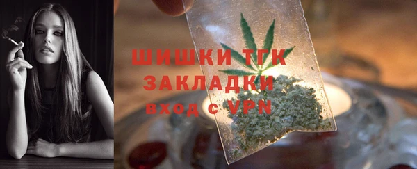 стаф Бронницы